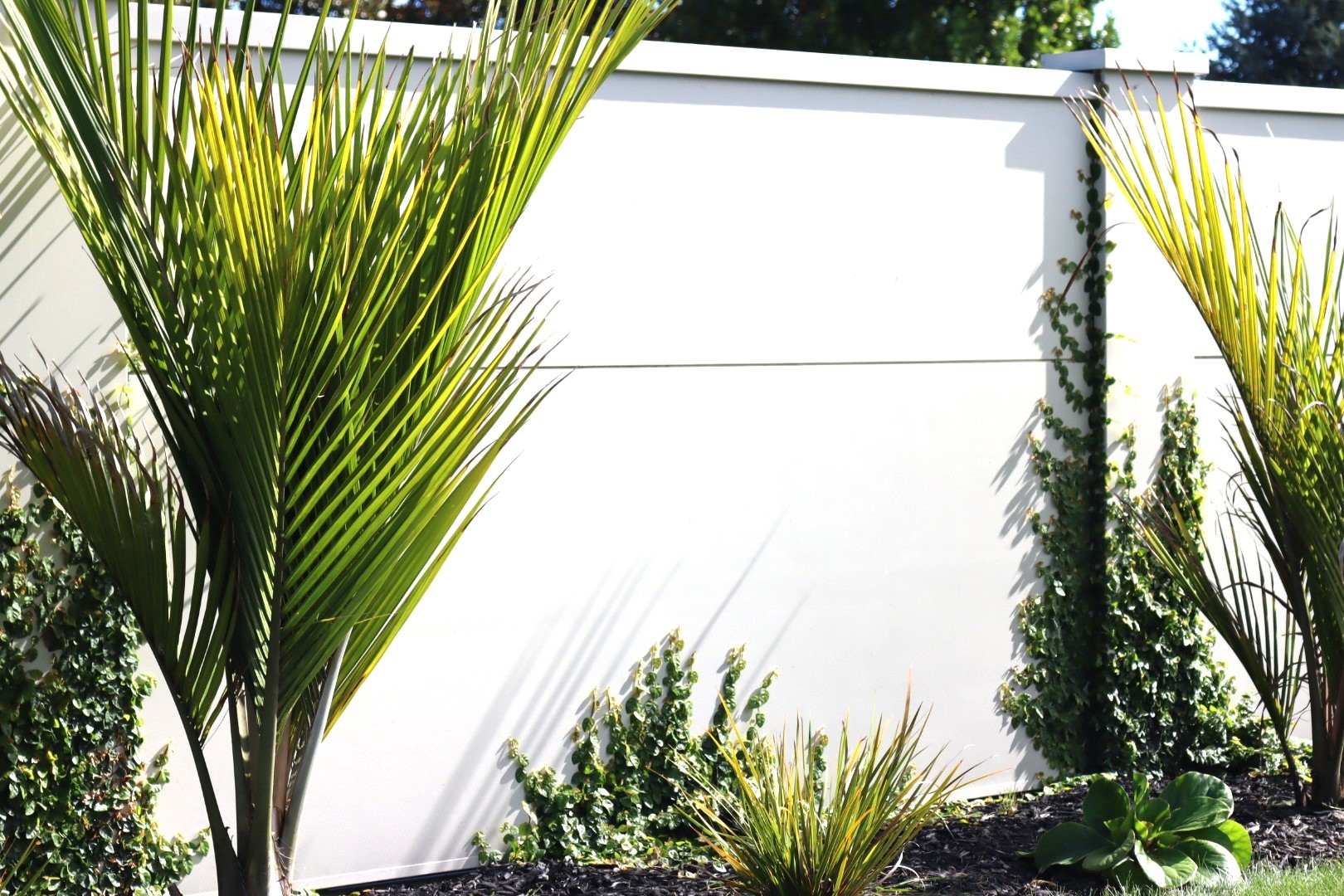 Residential landscape design in Cambridge, New Zealand