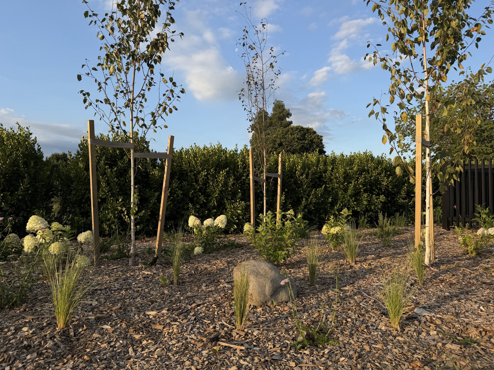 Considered landscape planting design, Tamahere, New Zealand