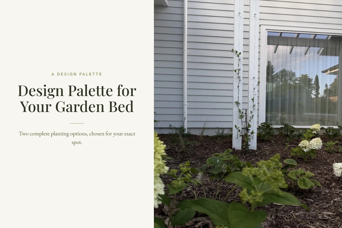 Design Palette for Your Garden Bed
